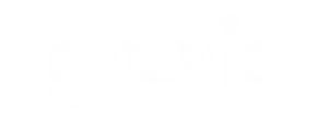 Gravie logo white