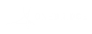 OneBridge logo white (2)