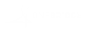 OneBridge logo white (2)