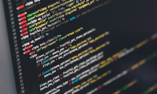Developer screen showing API code for plan and rate data